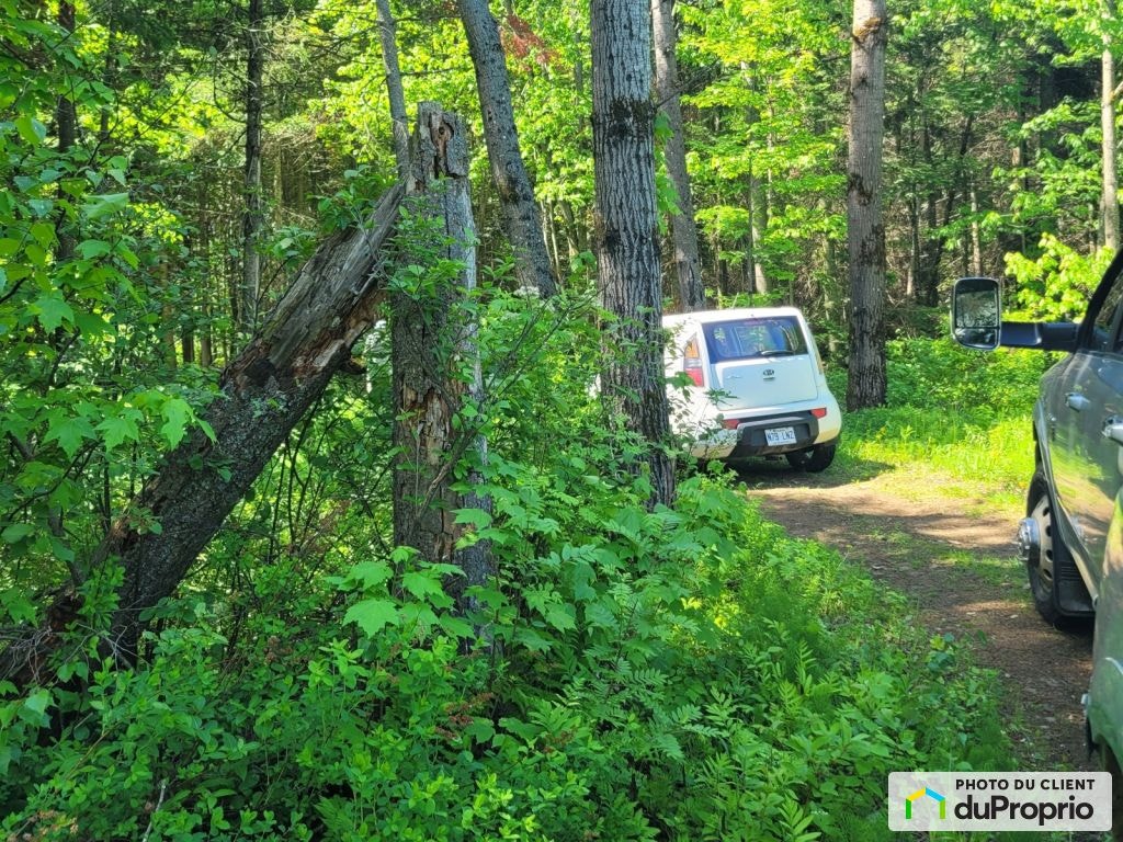 $175,000 - Wood Lot in Shawinigan (St-Gerard-Des-Laurentides) — photo 1