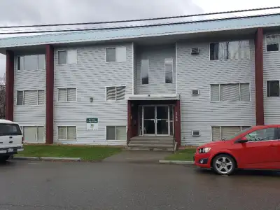 Spacious 1 bedroom, 1 bath, fridge, stove, a/c, entercom system, close to bus, central to North Shor...