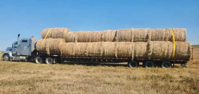 Custom Trucking and Baling63005665174275122