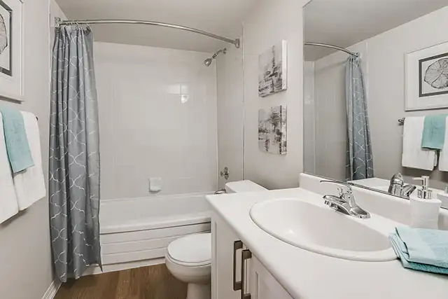 1 bedroom apartment rentals in Nutana-Call Today! in Long Term Rentals in Saskatoon - Image 8