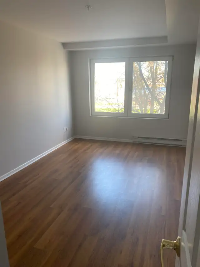 Downtown Fredericton 2 Bedroom Now Offering One Month Free! in Long Term Rentals in Fredericton - Image 4