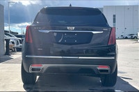 Welcome to Carter Cadillac Ltd. . (image 5)