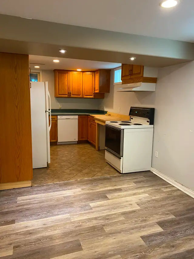 Bright basement suite in Nutana-Pet friendly