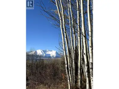 Incredible 6.75-acre Driftwood property with stunning mountain views, southwest exposure, and lots o...