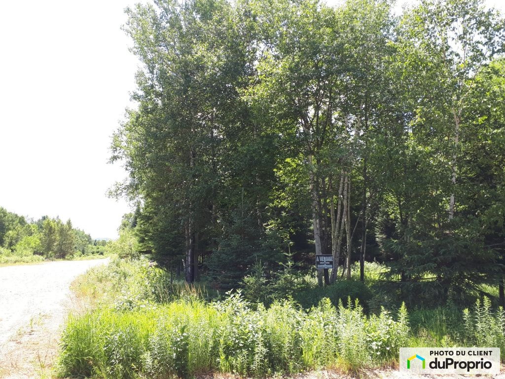 $99,500 - Residential Lot for sale in St-Michel-Des-Saints — photo 3