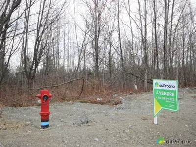 Terrains à vendre - Nouveau développement domiciliaire. Services d'aqueduc et d'égout. Pour maisons...