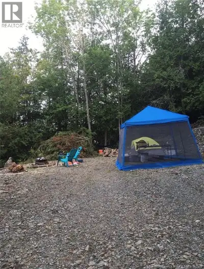 Discover this serene half-acre property with breathtaking views of the Saint John River and the peac...