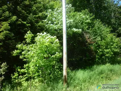 Terrain résidentiel à vendre sur le bord de la route secondaire 277 (possibilité d'acquérir le terra...
