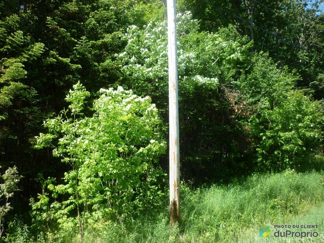 $36,000 - Price taxes not included - Residential Lot for sale — photo 1