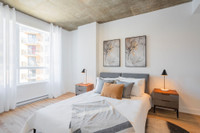 More choices, more comfort, easy for you! Explore all our apartment rental options tailored to your... (image 3)