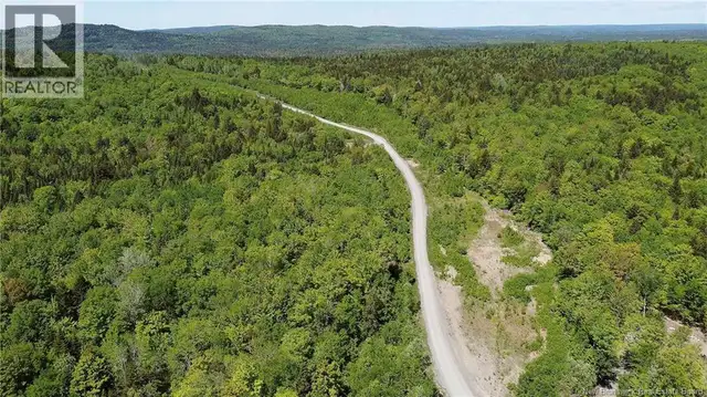 Lot 25 Misty Mountain Road Elmsville, New Brunswick in Land for Sale in Saint John - Image 8