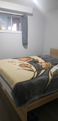 Fully Furnished Bedroom in a 2 Bedroom Basement $850