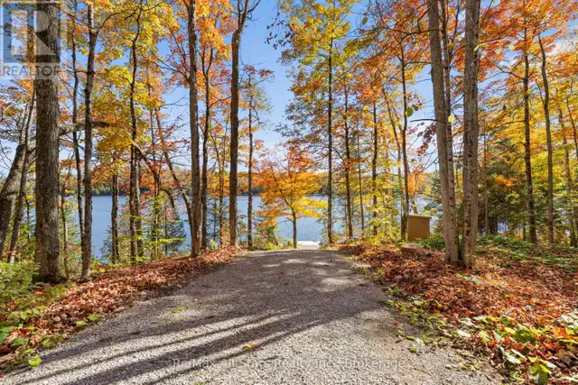 100 RUSSELL DRIVE Trent Lakes, Ontario in Land for Sale in Muskoka - Image 18
