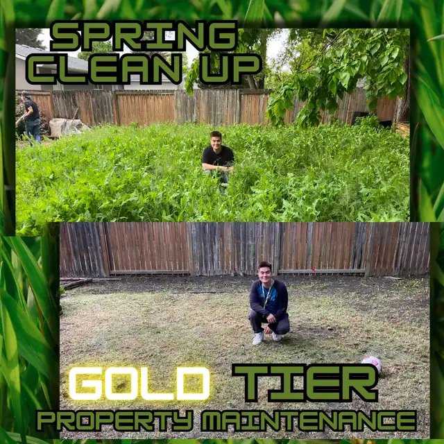 Landscaping & Grass Cutting63234549930115121