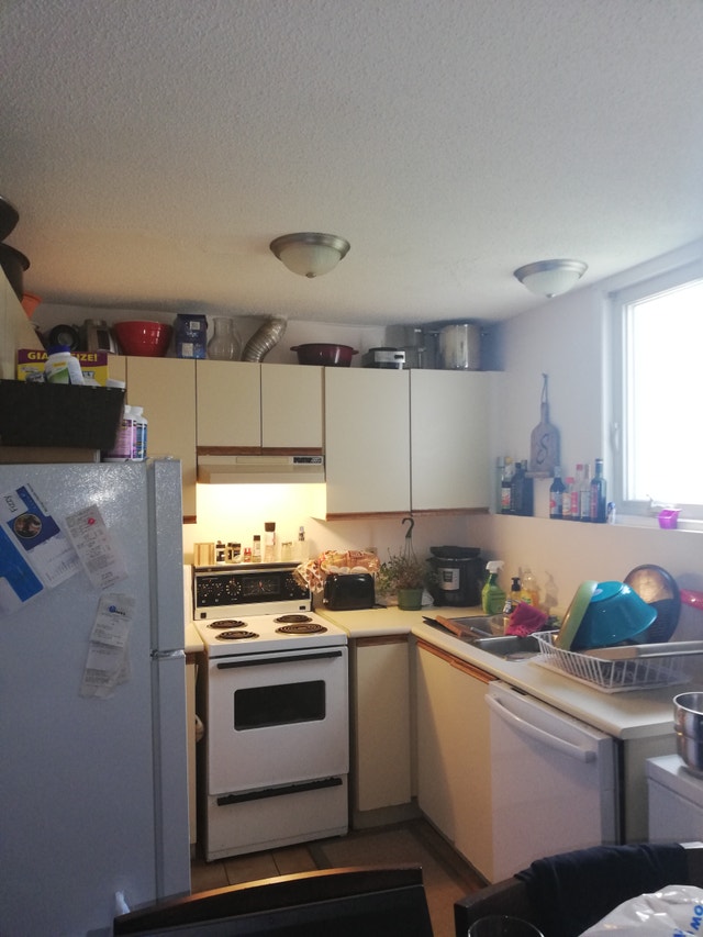 1137 Merivale Road Unit 2 , Nepean 1 bedroom Apartment for Ren Long