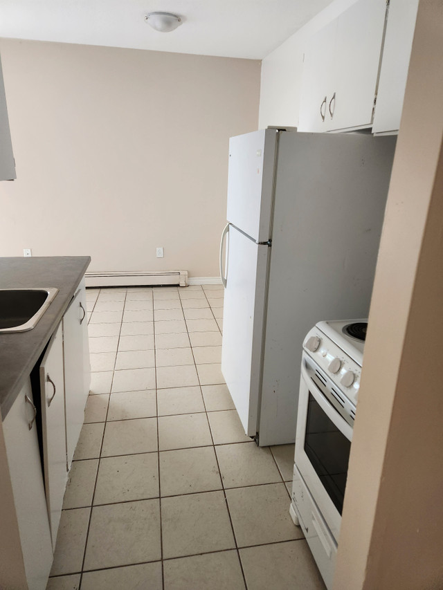 BEAUTIFUL 2 BR APARTMENT IN WALLACEBURG PERFECT FOR 50+!!! Long