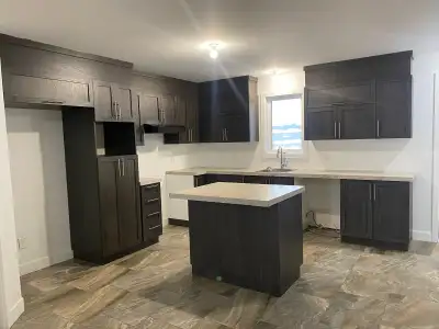 Pour le 1er janvier 2026 Magnifique 5 à louer 3e étage Garage Quartier ultra tranquille 1605 P. Dizy...