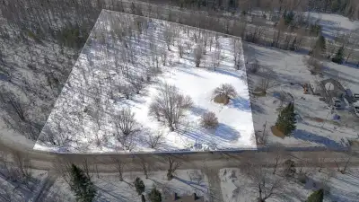 Superbe terrain de 2,9 acres sur le chemin des Pionniers à Orford avec une imprenable sur la montagn...