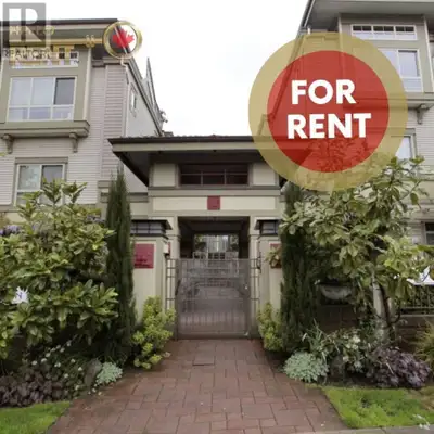 Available March 1, 2025 Studio Suite w/Murphy Bed Pet Friendly 1 Secure Parking Incl Professionally...