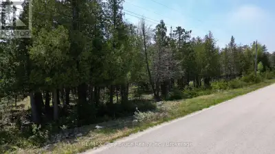 Good building lot in Dorcas Bay is located on a year-round paved municipal road. This well treed pro...