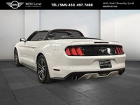 ===== 2017 Ford Mustang Ecoboost haut niveau ===== ===== Pourquoi acheter chez nous ? ===== Depuis p... (image 5)