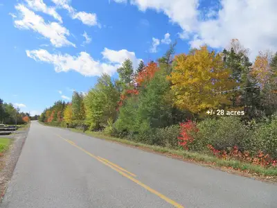 Enjoy +/- 28 acres of scenic land offering a rare combination of space, privacy, and natural beauty....
