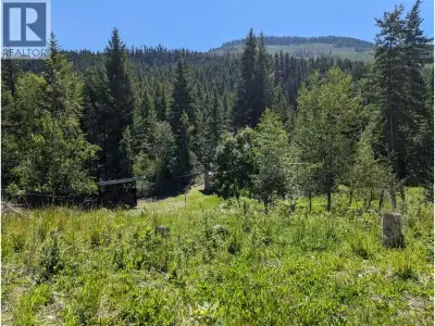 Exceptional Opportunity in beautiful British Columbia, Canada! Discover the perfect chance to own 40...