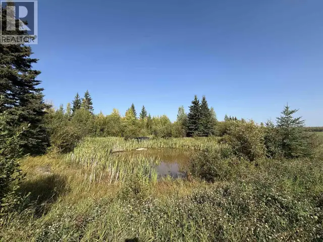 17215 277 ROAD Fort St. John, British Columbia in Houses for Sale in Fort St. John - Image 29