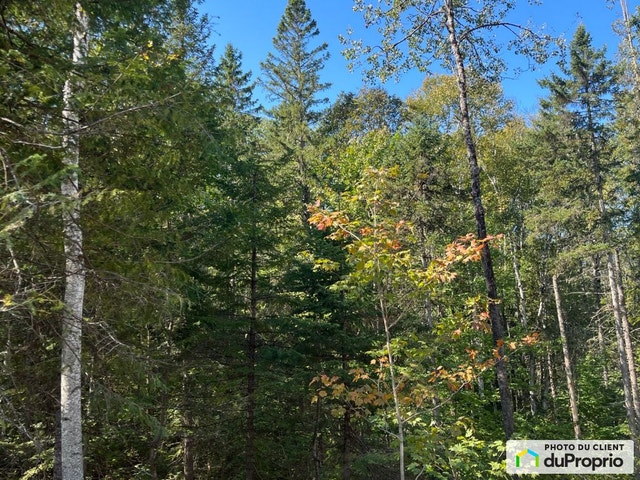 $97,500 - Price taxes not included - Residential Lot in St-Côme — photo 2
