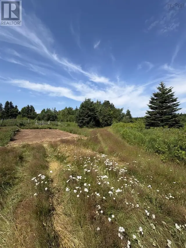 272 Breen Road Monastery, Nova Scotia in Land for Sale in New Glasgow - Image 13