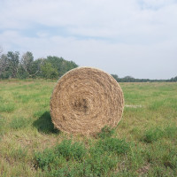 Round Bales