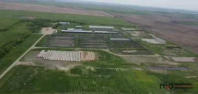 Farmland Quarter and Feedlot - SW 6-12-27W - Elkhorn, MB Pick up location: Elkhorn, MB Auction: REAL...