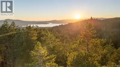 Prime development opportunity to own one or more West Coast wilderness building lots. Picture waking...