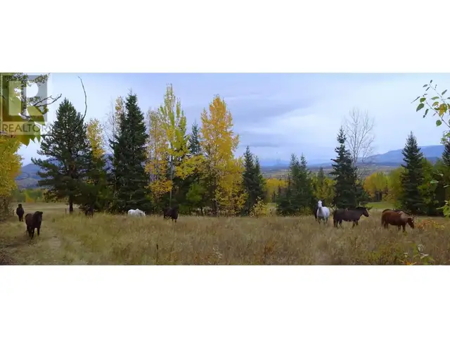 DL4905 DAY ROAD Horsefly, British Columbia in Land for Sale in Williams Lake - Image 9