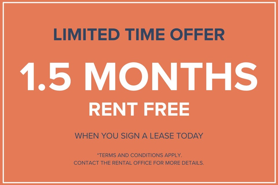 The 2250 Guy Apartments - 1 Bedroom available, Montreal Apartmen 2