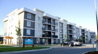 Broadstreet’s Forest Ridge offers 1, 2, and 3-bedroom pet-friendly apartments for rent in Campbell R...
