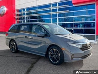 Honda's Legendary Reliability on Full Display Right Here with This Beautiful Sonic Gray Pearl 2023 H... (image 7)