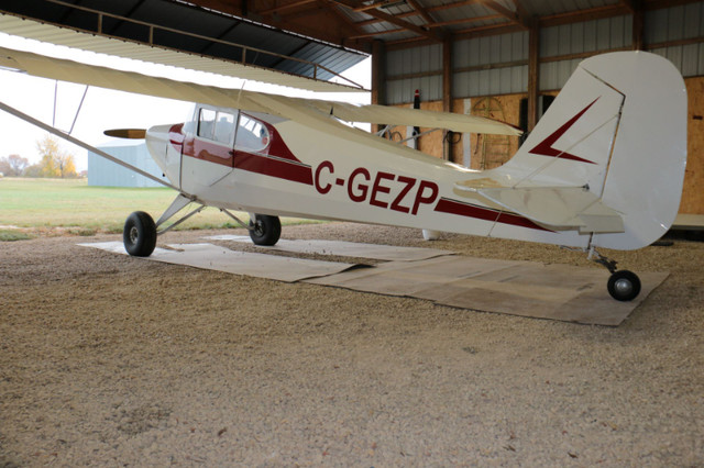 Aerona Chief for sale in Other in Portage la Prairie - Image 2