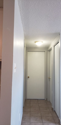 2 Bedroom plus den on ground floor (lower level basement) is available immediately in Kitchener near... (image 1)