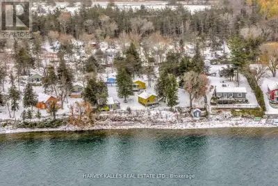 Power of sale seasonal cottage compound at Flakes Cove on East Lake. Picturesque and tranquil waterf...