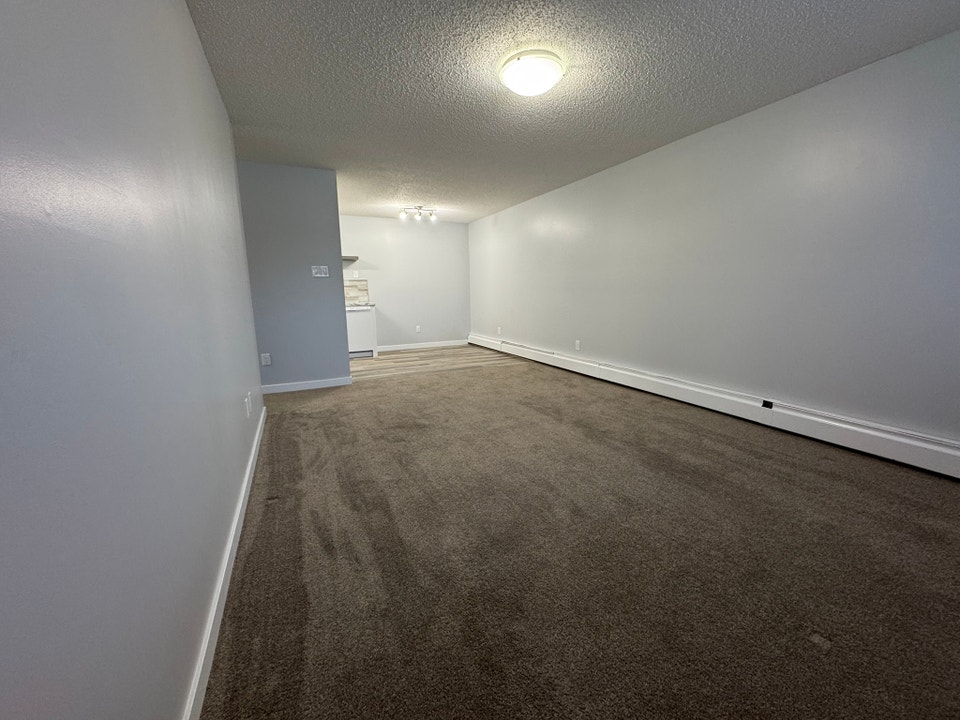 RENOVATED 1-Bedroom Apartment - SMALL PET FRIENDLY! 5