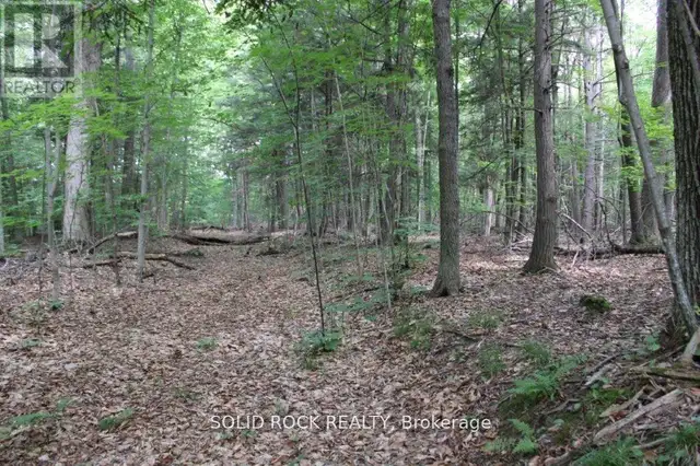 2209 JOCHEM ROAD Edwardsburgh/Cardinal, Ontario in Land for Sale in Woodstock - Image 10