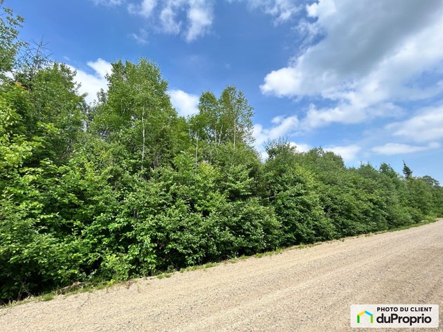 $45,000 - Residential Lot for sale in Petite-Riviere-St-Francois — photo 3