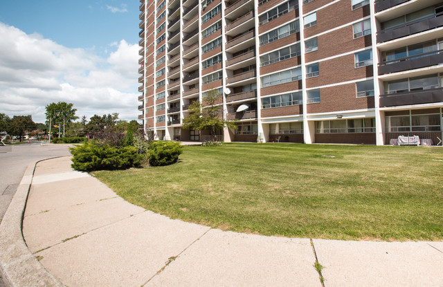 1 BD Fully Renovated Prime Etobicoke in Long Term Rentals in City of Toronto - Image 4