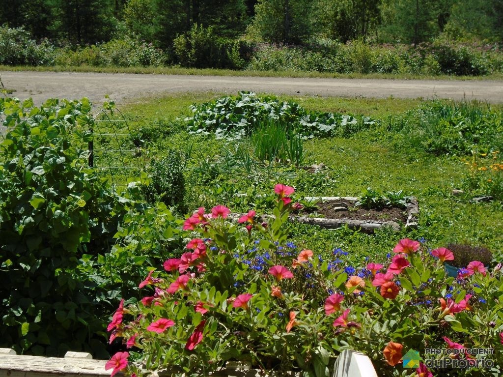 $189,000 - 2 Storey for sale in St-Zenon-Du-Lac-Humqui — photo 3