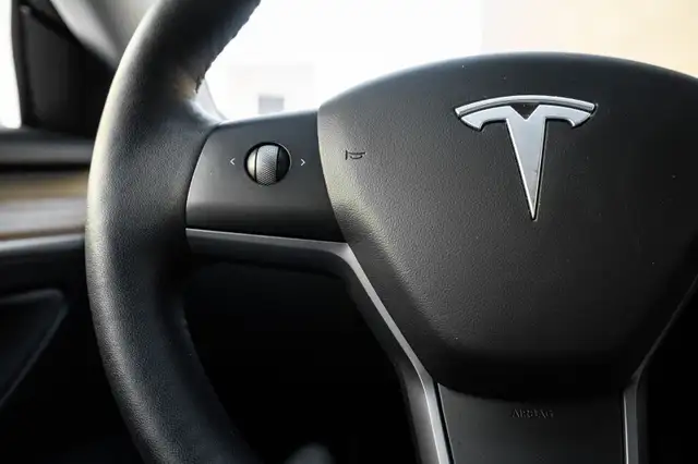 2021 Tesla Model 3 Long Range4397320587293593610