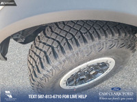 Thanks for viewing our Cam Clark Ford Inventory! WAS: $86980 NOW: $75480 plus taxes and licensing fe... (image 7)