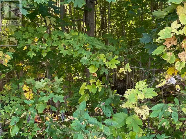 1315 CONCESSION 8 CONCESSION Kincardine, Ontario in Land for Sale in Owen Sound - Image 21