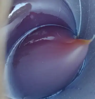 NEW RED LITHIUM COCK GREASE EXTRA TACKY CG400L, View more