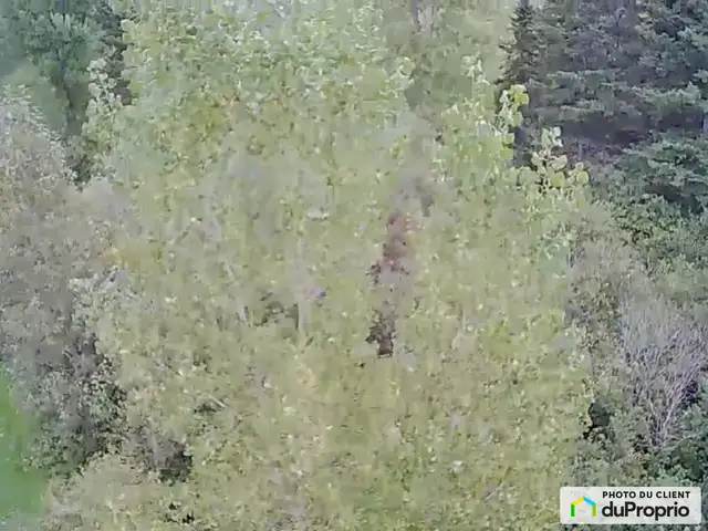 $29,000 - Residential Lot for sale in St-Côme-Linière in Land for Sale in St-Georges-de-Beauce - Image 7